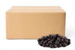 Freeze-dried Blackcurrants bulk packaging