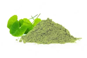 Organic Gotu Kola Extract Powder. Centella Asiatica Powder.