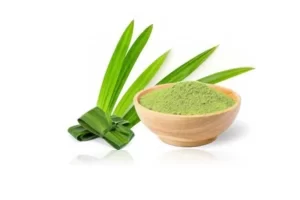 Organic Pandan Leaves Powder